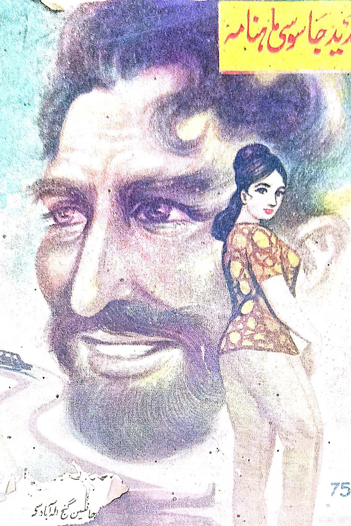 Cover Image of Neeli Laashein (Urdu (اردو)) by Zaidi Jurjani